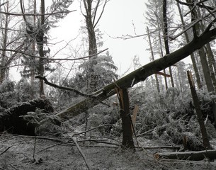 tatry