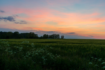 Fototapeta na wymiar colorful sunset over the fields