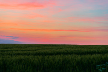 Fototapeta na wymiar colorful sunset over the fields