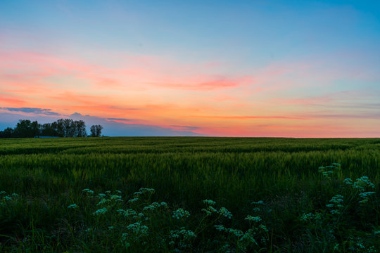 colorful sunset over the fields © dariuszmakovski