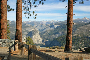 Pines trees over Yosemite Valley - Yosemite NP, California