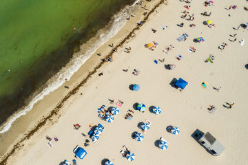 Aerial overhead shot of people under umbrellas on the beach