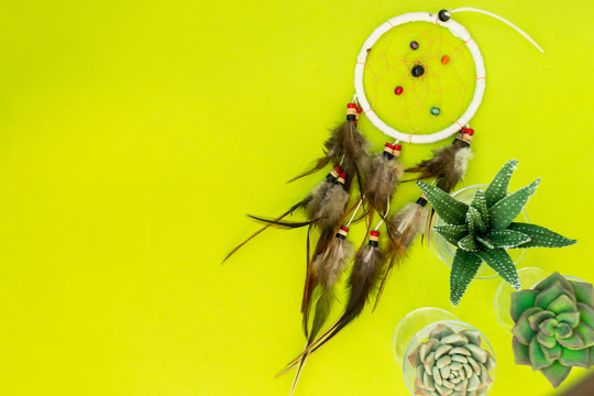 An Indian dreamcatcher with feathers lies among cacti and succulents on a color bright green background.