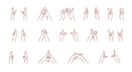 vector mudras hands color isolated line fingers