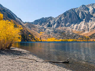 Amazing fall colors in the Eastern Sierra mountains