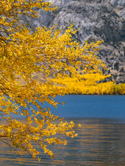 Autumn tree branches against the mountain lake background