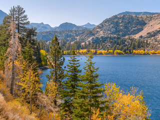 Fall foliage around an alpine lake in Sierra Nevada mountains