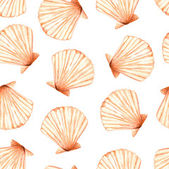 Watercolor sea seamless pattern with a lot of the beautiful shells (Venus scallop). Isolated on a white background. Summer illustration. Under the sea.