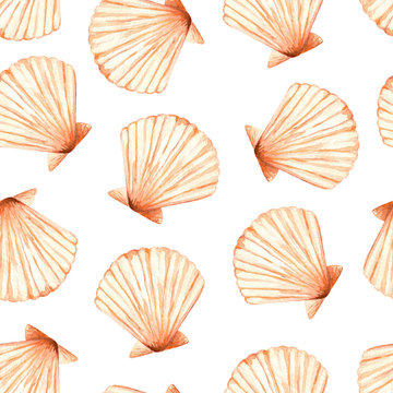 Watercolor sea seamless pattern with a lot of the beautiful shells (Venus scallop). Isolated on a white background. Summer illustration. Under the sea.