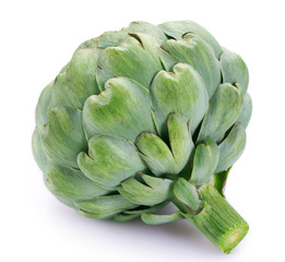 Fresh artichoke on white background