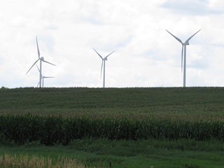 Wind turbines in a green field of hay