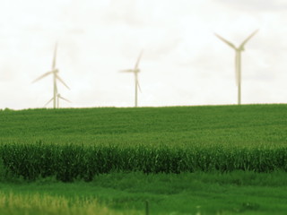 Wind turbines in a green field of hay