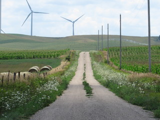 Glowing road in the field under clouds