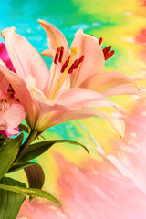 Easter flower arrangement featuring pink lilies against psychedelic colored background.