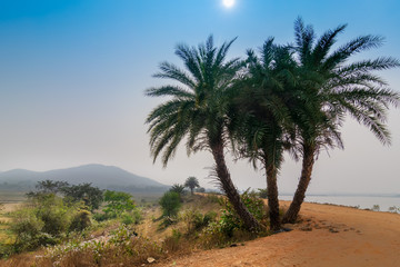 Fototapeta na wymiar Village road, India