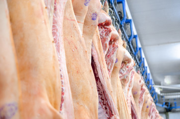 The meat factory. Pork hanging on hooks. Pork carcasses in the workshop of butchers. Industrial...