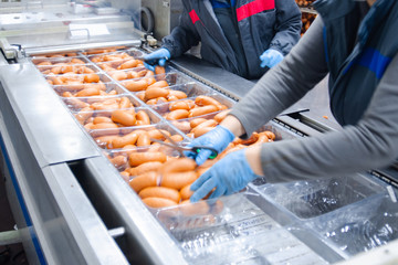 Sausages. Packing line of sausage. Industrial manufacture of sausage products.
