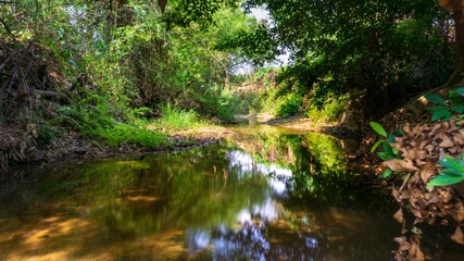 Fototapeta na wymiar Clear streams, relaxing, relaxing with beautiful nature