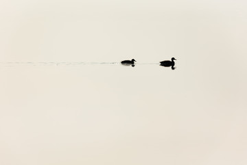 日本・北海道洞爺湖、冬の風景