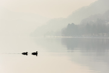 Obraz na płótnie Canvas 日本・北海道洞爺湖、冬の風景