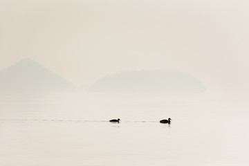 日本・北海道洞爺湖、冬の風景