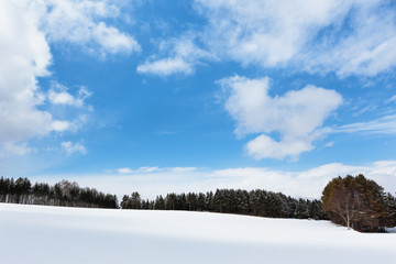 日本・北海道洞爺湖、冬の風景