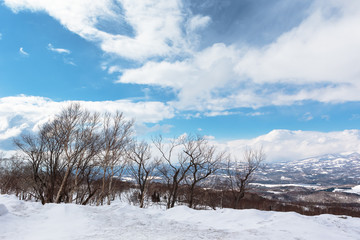 日本・北海道洞爺湖、冬の風景