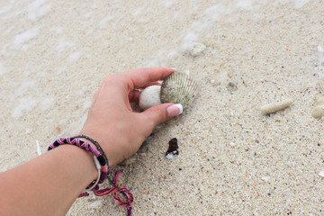 girl collects shells on the beach