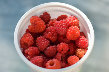 Lots of ripe red raspberries in a white plastic Cup, top view. Horizontal macro photography