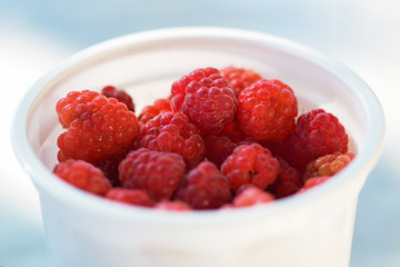  Lots of ripe red raspberries in a white plastic Cup. Horizontal photography