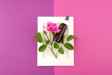 Rose essential oil.Bottle of oil and rose flower in a  on a pink and fuchsia mix background.Natural organic nature oils. Aromatherapy.