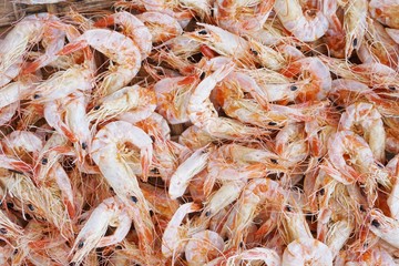 close up Small dried shrimp for cooking