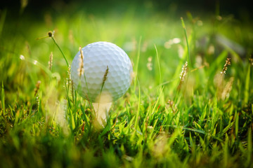 Golf ball on tee in beautiful golf course at sunset background.