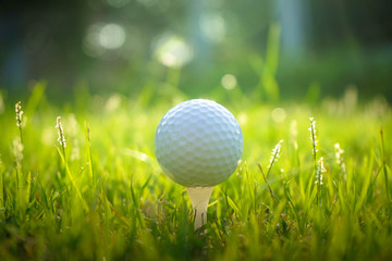 Golf ball on tee in beautiful golf course at sunset background.