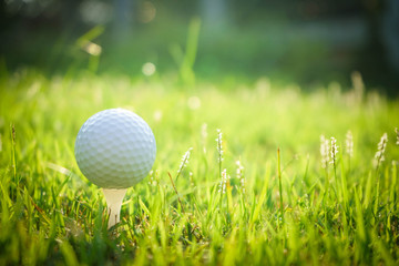 Golf ball on tee in beautiful golf course at sunset background.