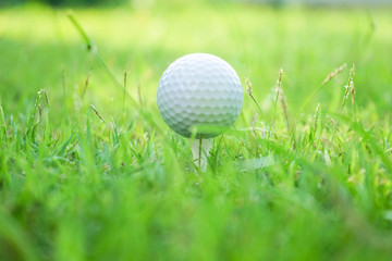 Golf ball on tee in beautiful golf course at sunset background.