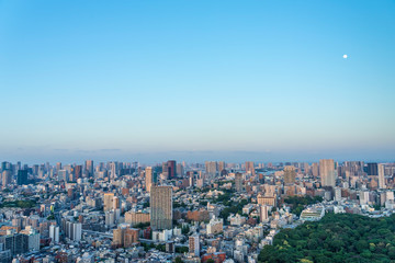高層ビルから眺める日没前の東京の風景