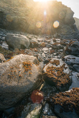massive boulders exposed by low tide.
