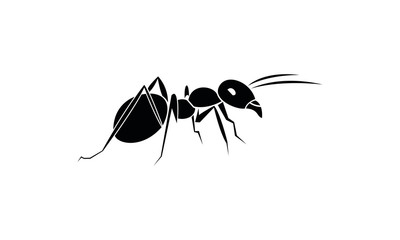 Ant vector
