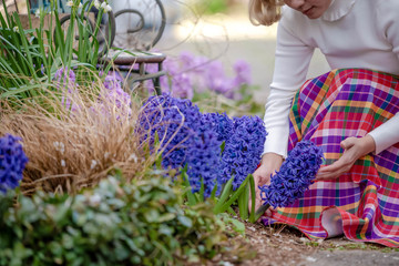 Young beautiful Asian women gardener take care of her flower in backyard.