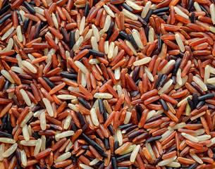 Organic rice, Mixed rice and texture for background