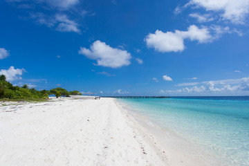 Beautiful trees on white sandy beach and blue sky in Semporna, Sabah