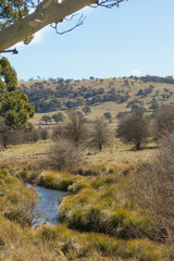 Creek Water Running Through Natural Australian Grass Land. Collector, New South Wales.