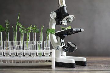 Microscope and test partings on the table in the laboratory.
