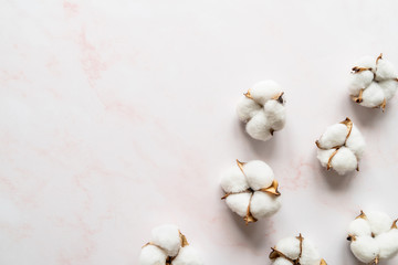 Cotton flowers on grey marble background flat lay top view