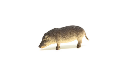 Plastic toy Boar isolated on white background