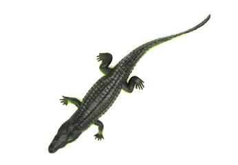 Alligator, green crocodile toy isolated. Top view