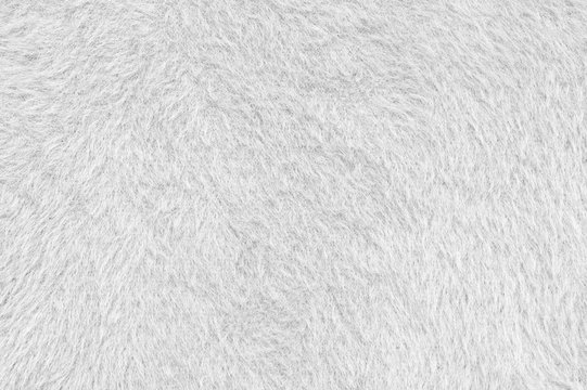 Fluffy fabric texture