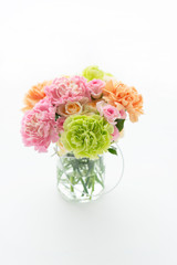 母の日　カーネーション