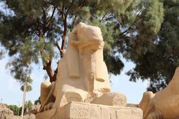 View of the ancient famous sculptures at the Karnak Temple in Luxor, Egypt. Travel to the African...